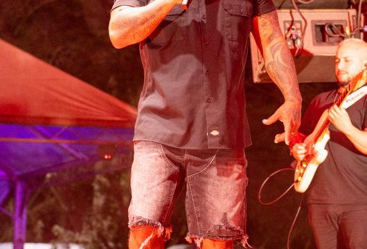 Descrição da Imagem 1